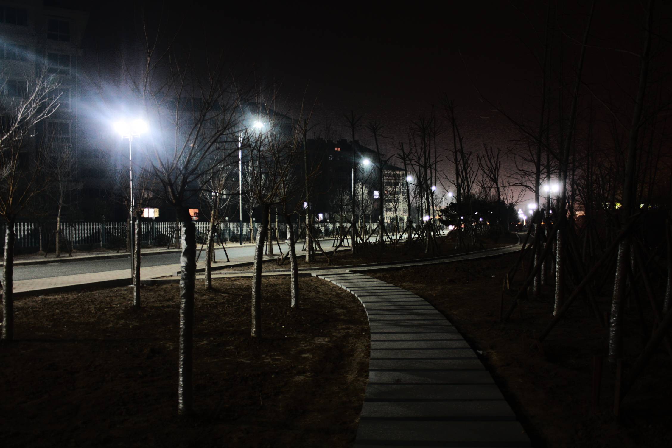 IMG_4874.jpg