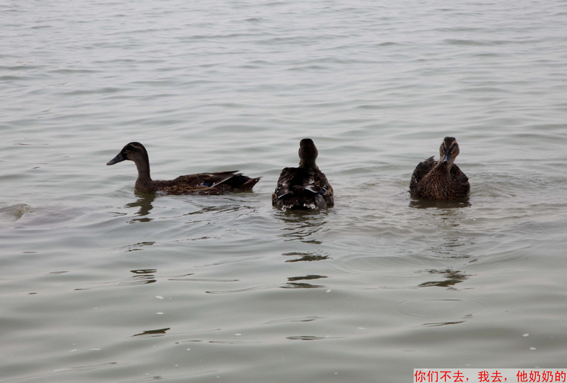 照片 3.jpg