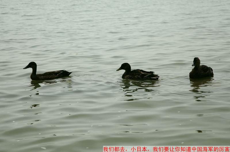 照片 4.jpg