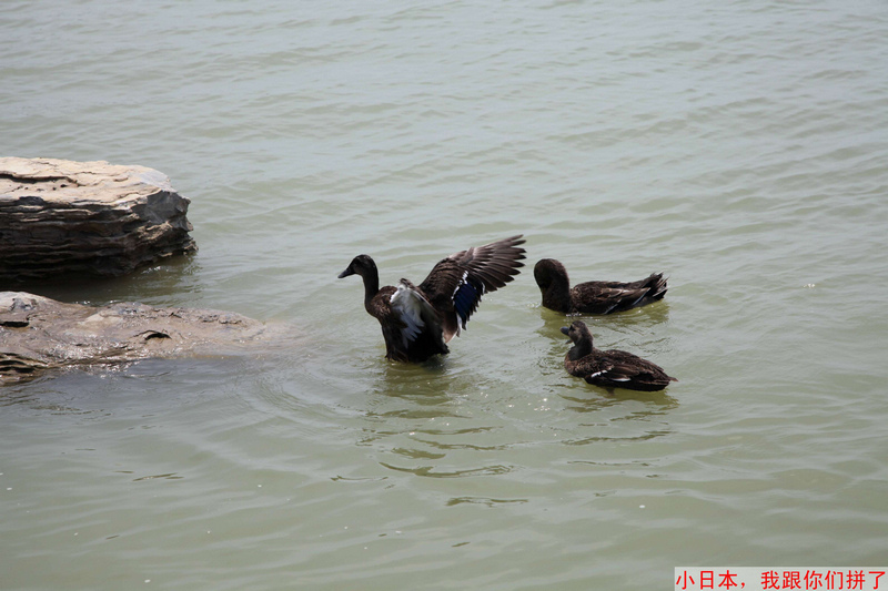 照片 9.jpg