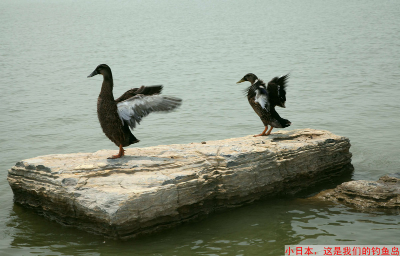 照片 17.jpg