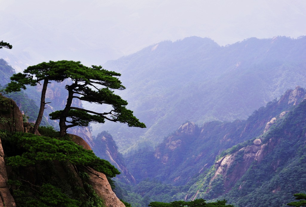 黄山.jpg