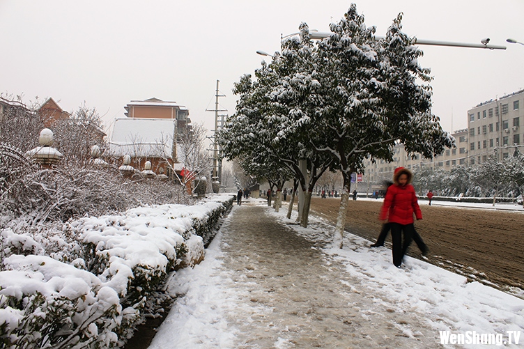 汶上雪景[2012年12月21日]