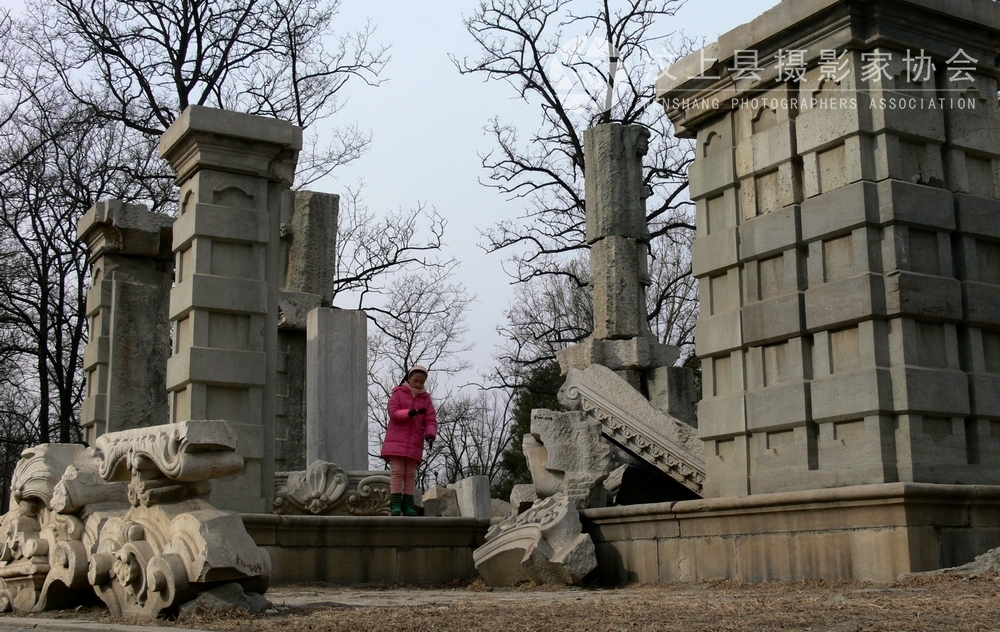 P1100552.jpg