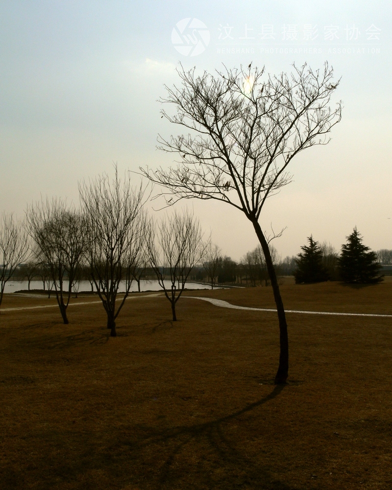 P1110475.jpg