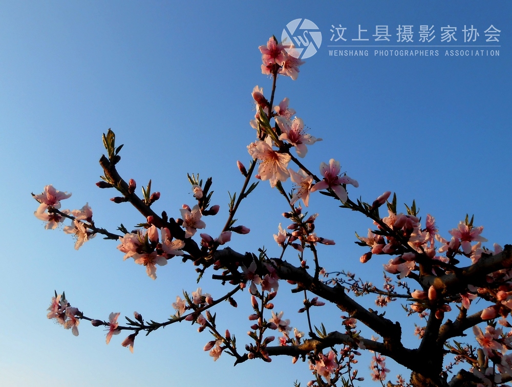 照片 334.jpg