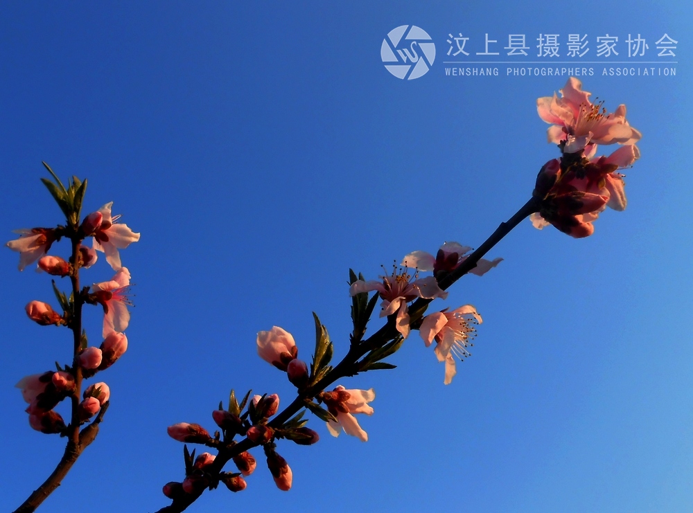 照片 320.jpg