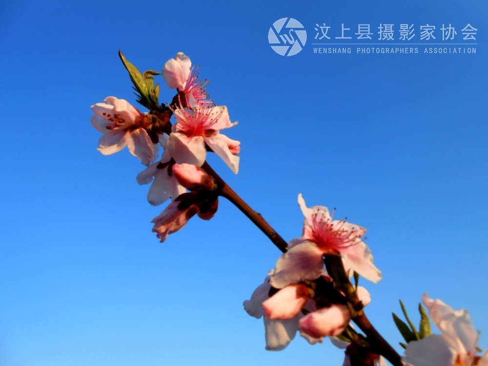 照片 324.jpg