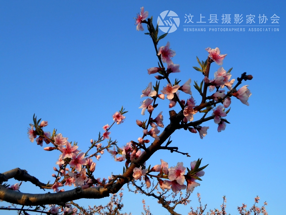 照片 332.jpg