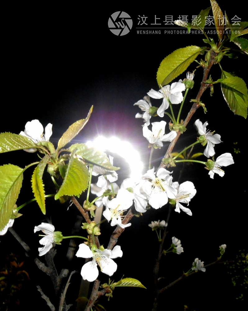 DSCN1059.jpg