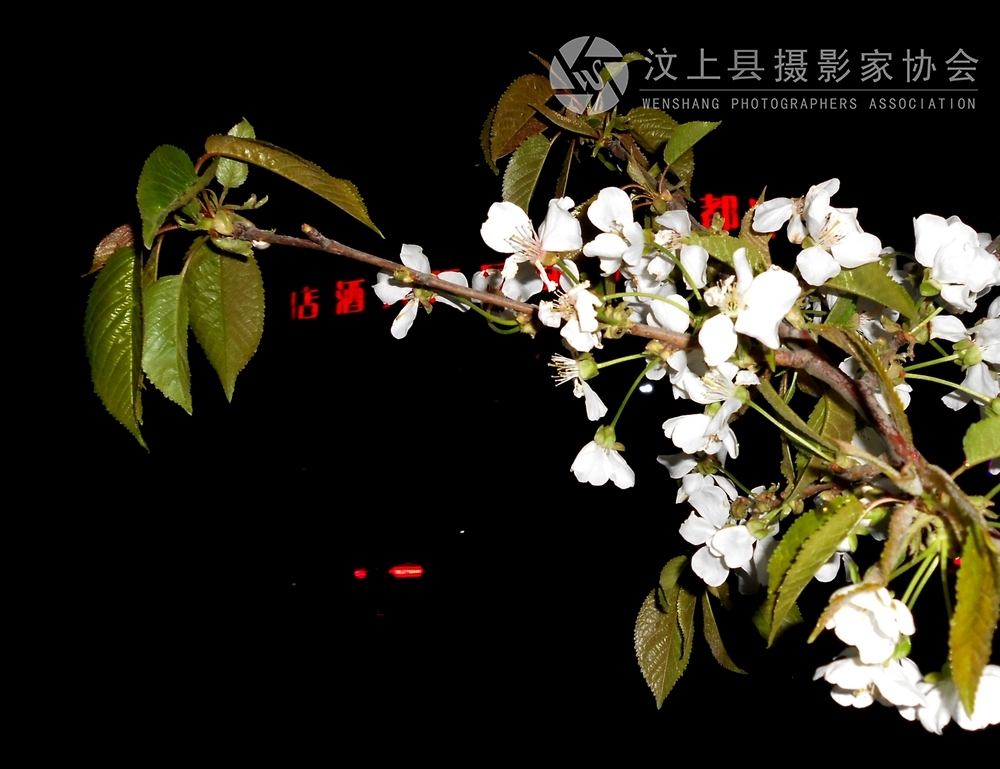 DSCN1066.jpg