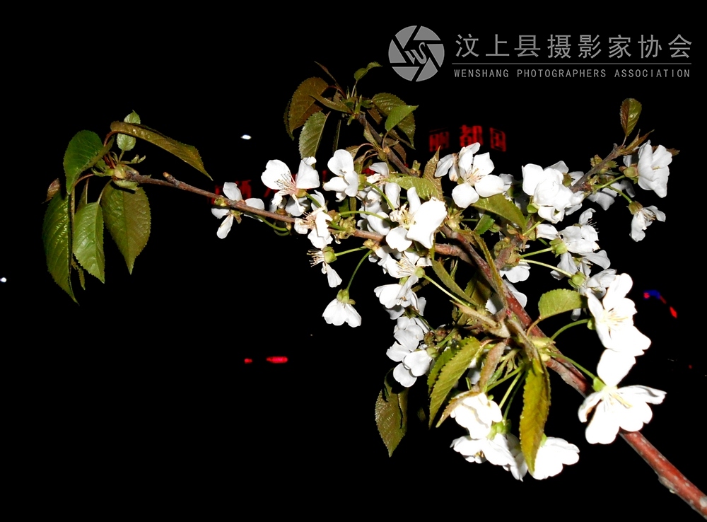 DSCN1067.jpg