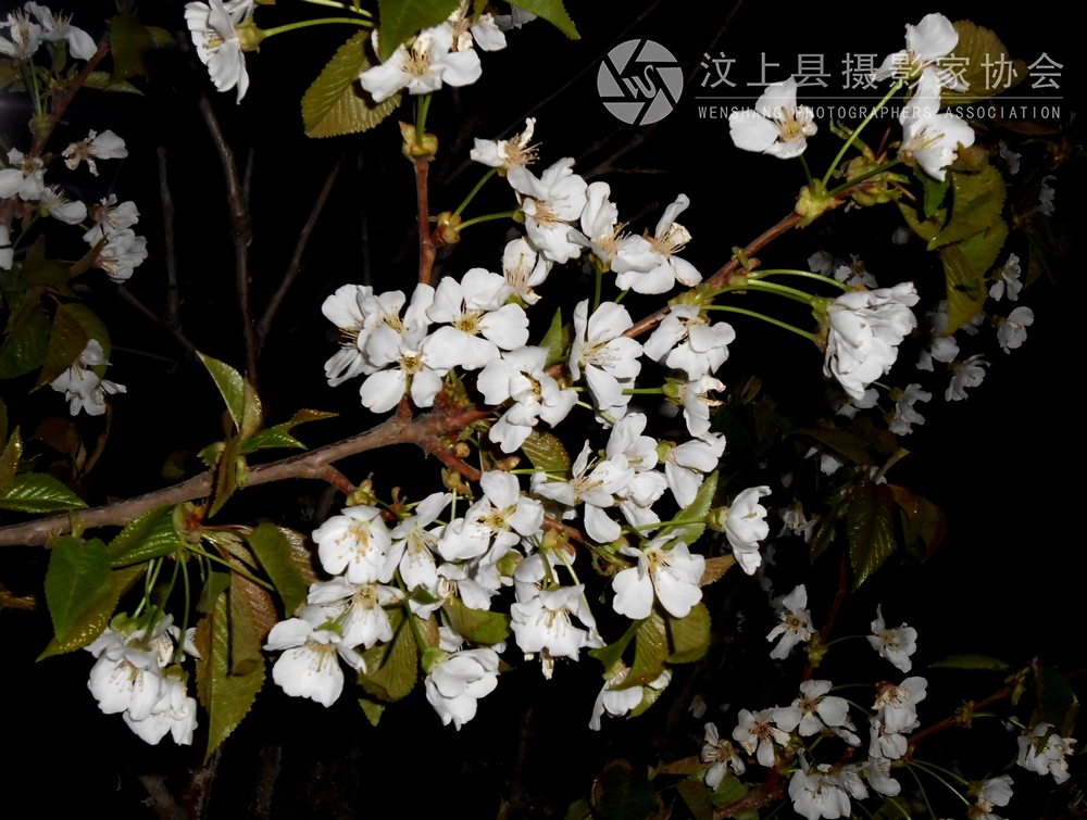 DSCN1072.jpg