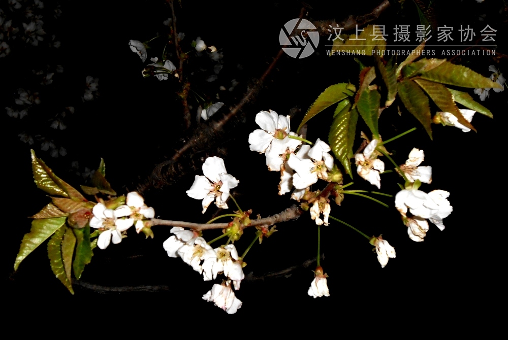 DSCN1075.jpg