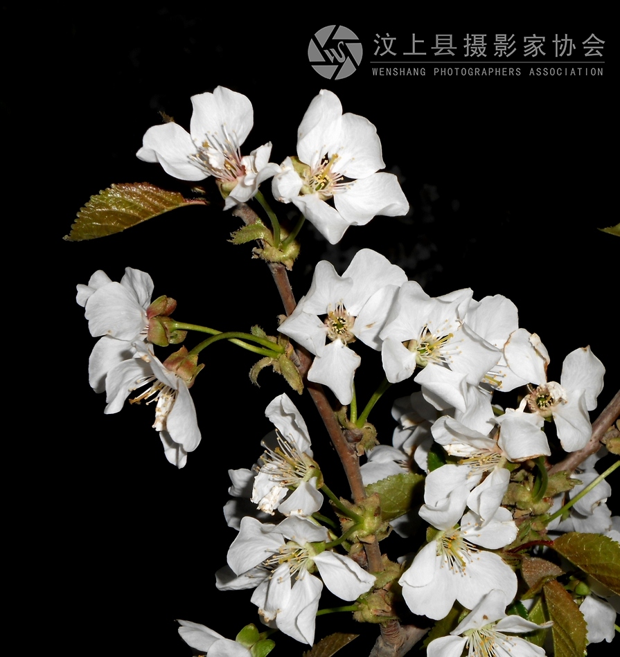 DSCN1077.jpg