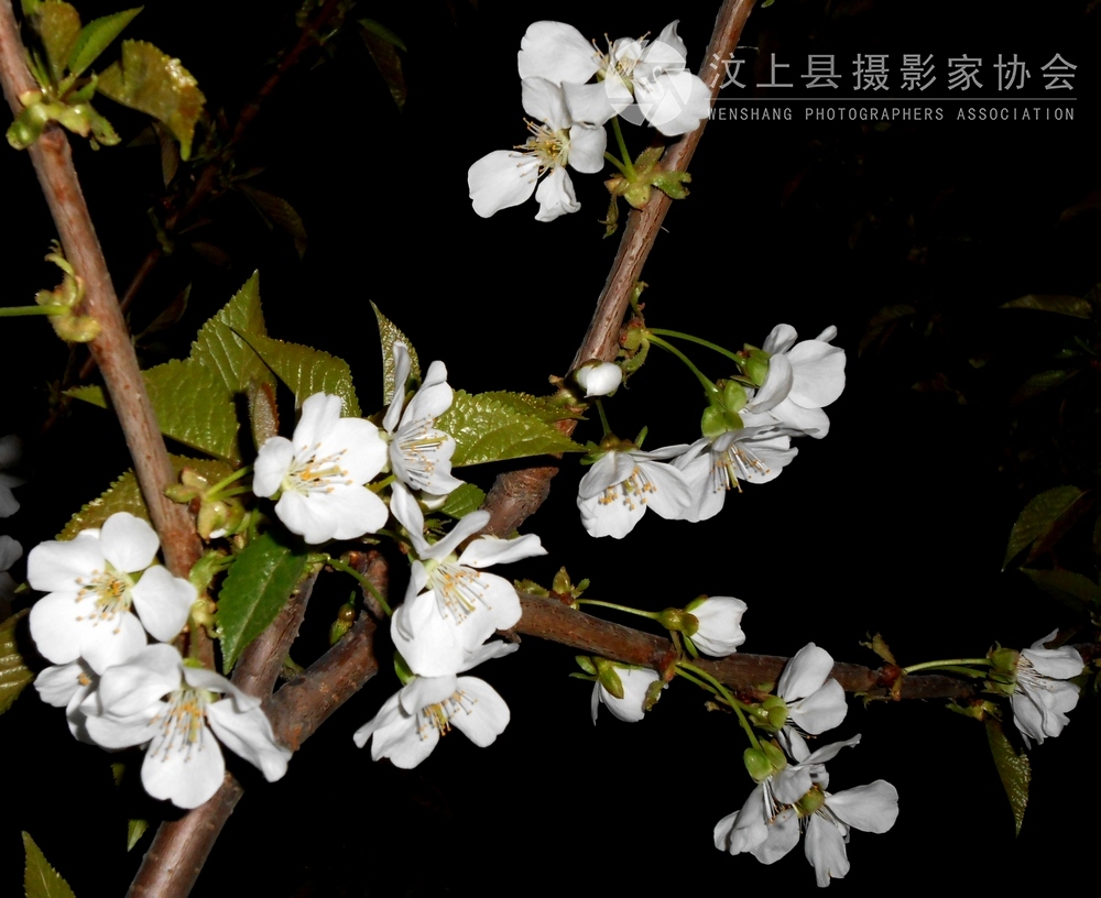 DSCN1078.jpg