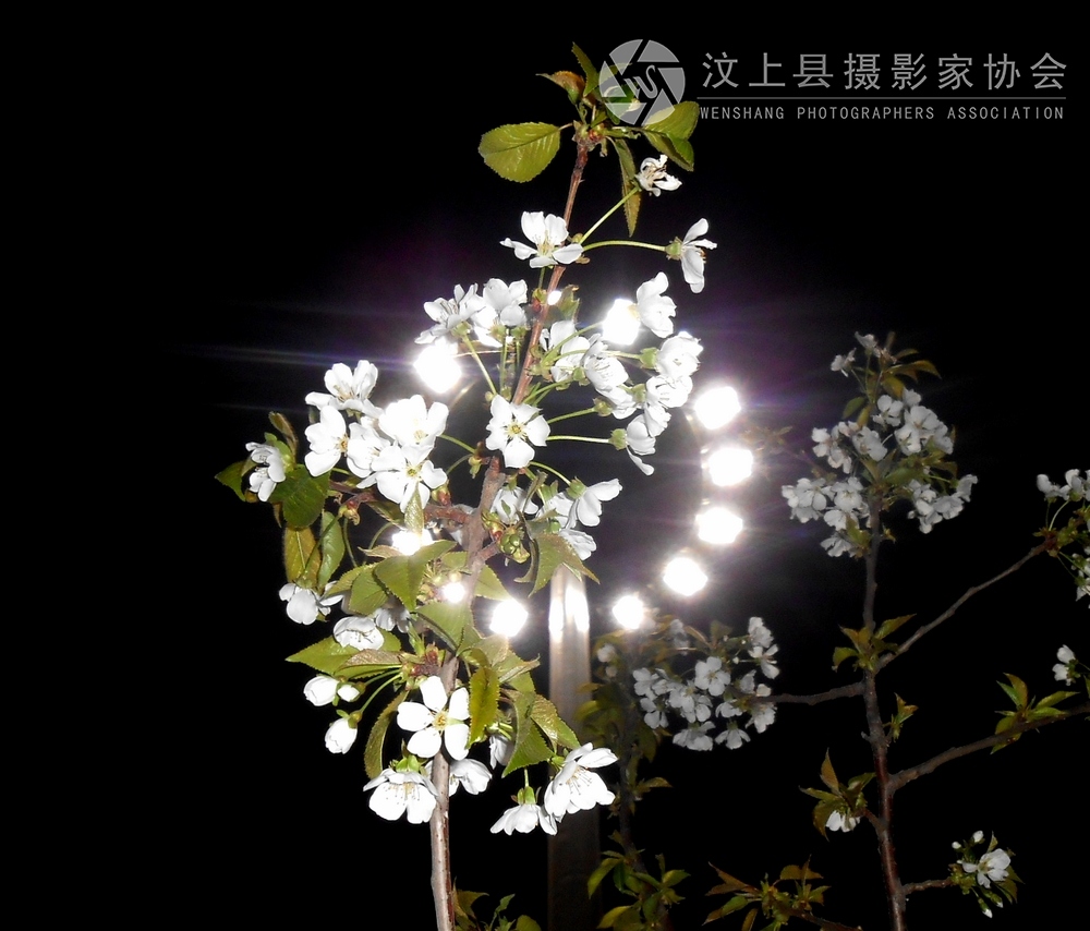 DSCN1083.jpg