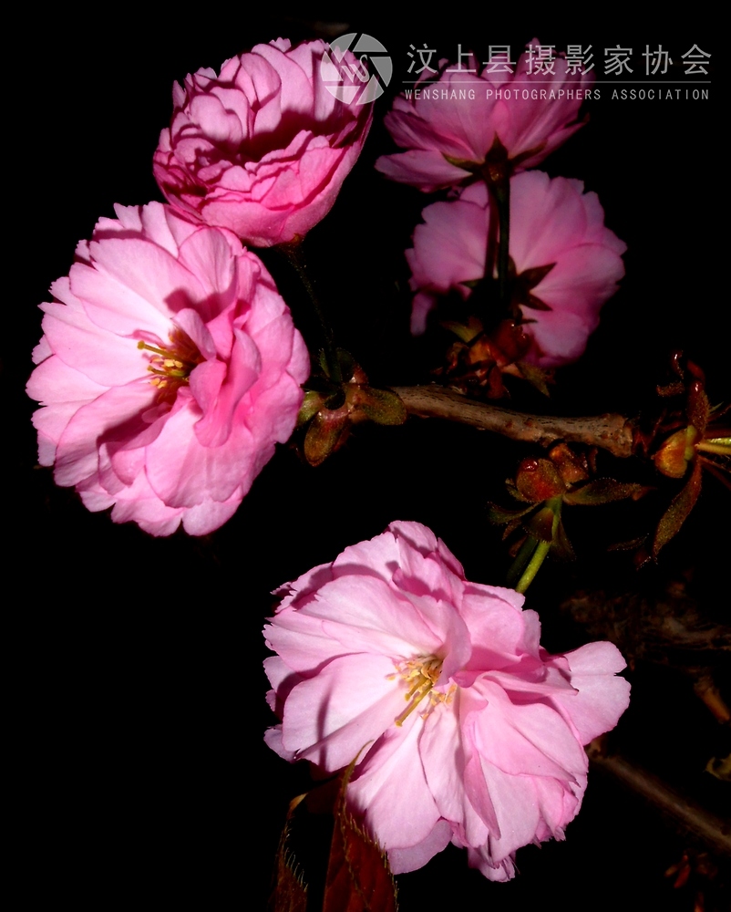 DSCN1105.jpg
