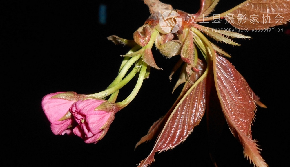 DSCN1112.jpg