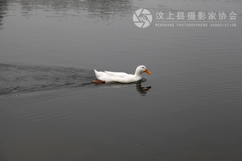 照片 1198.jpg