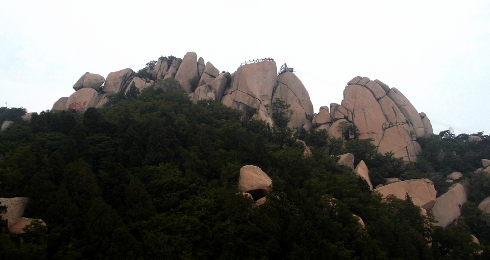 DSCI0220.jpg