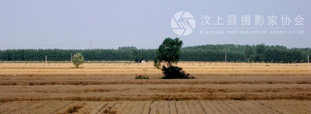 DSCI0179.JPG