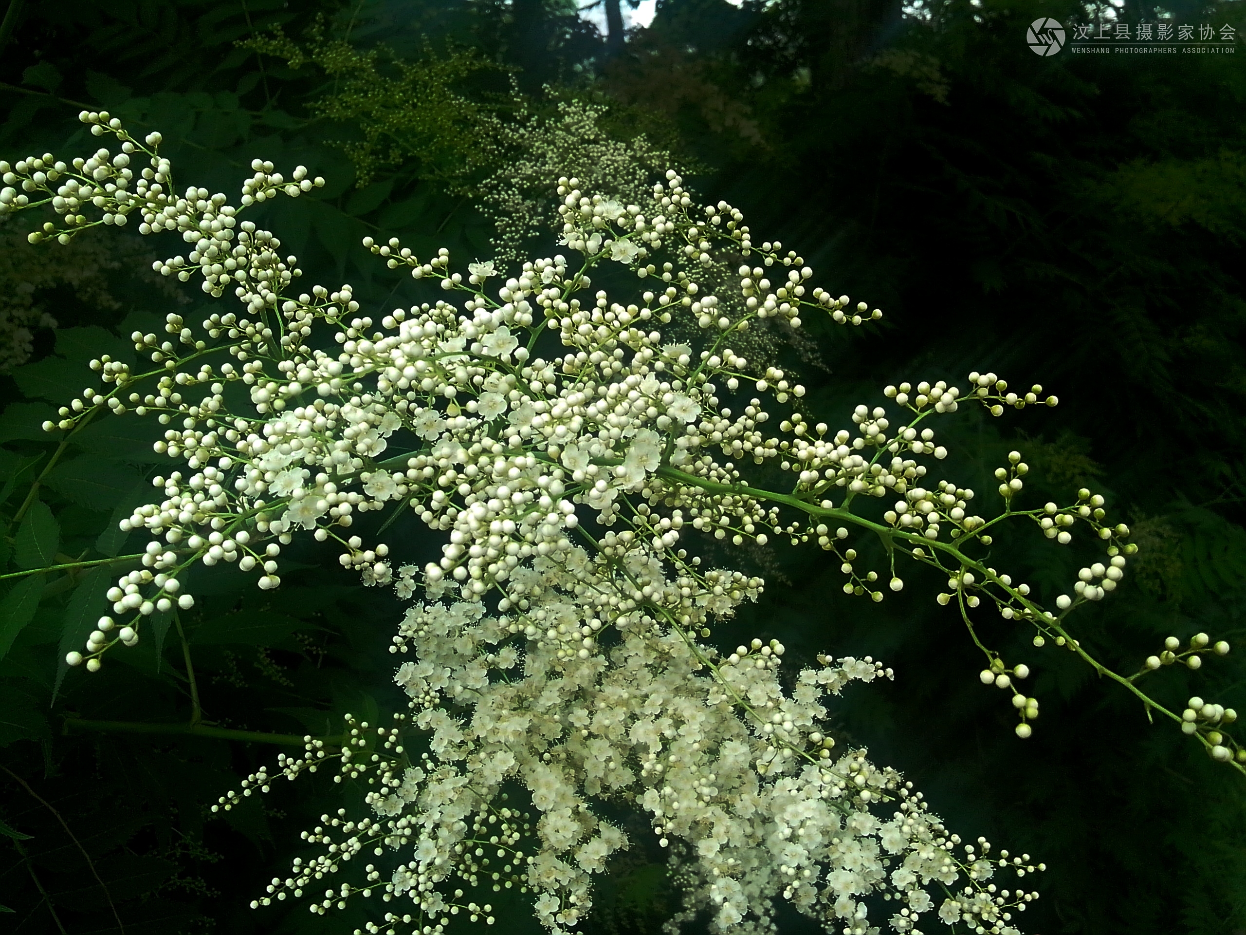 IMG_20130528_162334.jpg