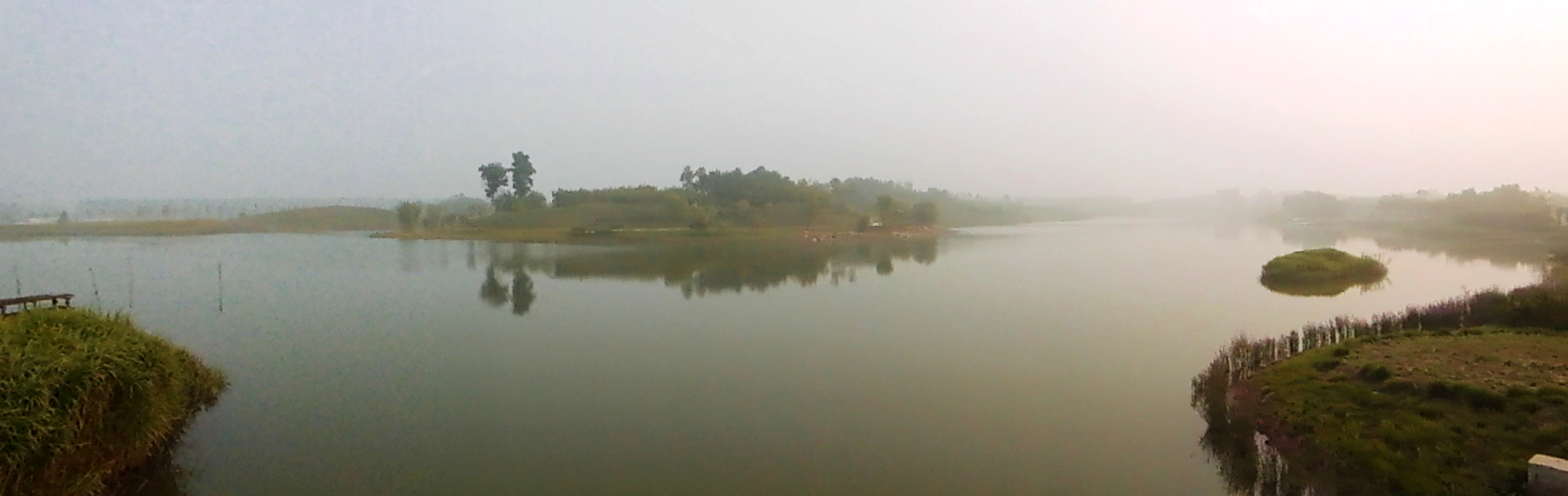 DSCI0239.jpg