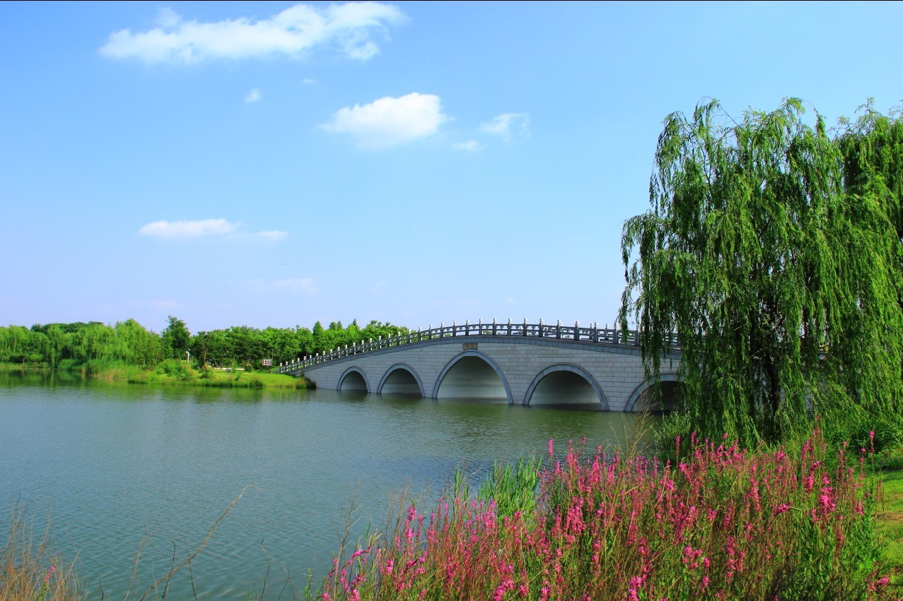 莲花湖——桥3.jpg