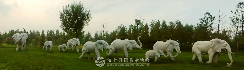 DSCI0199.jpg