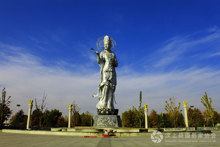 2012年的时候的汶上滴水观音图片