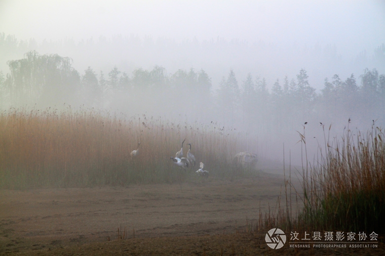汶上莲花湖湿地