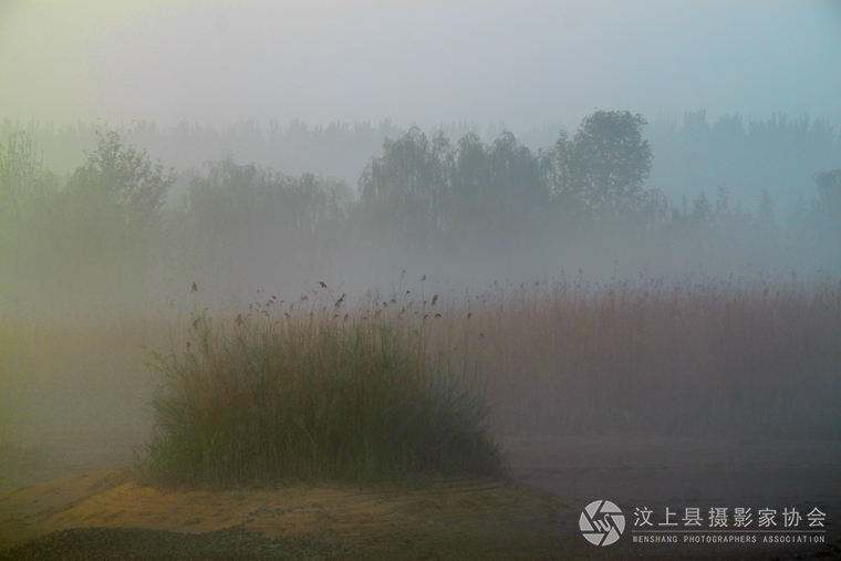 _MG_3660.jpg
