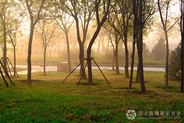 _MG_3688.jpg