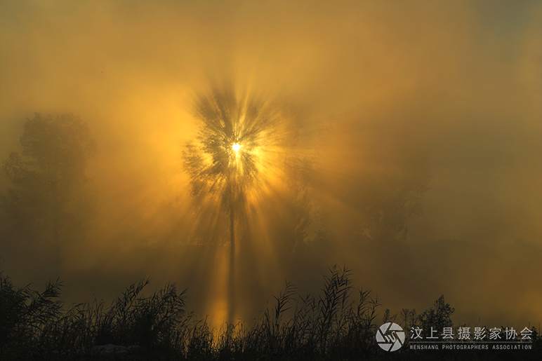 汶上莲花湖日出