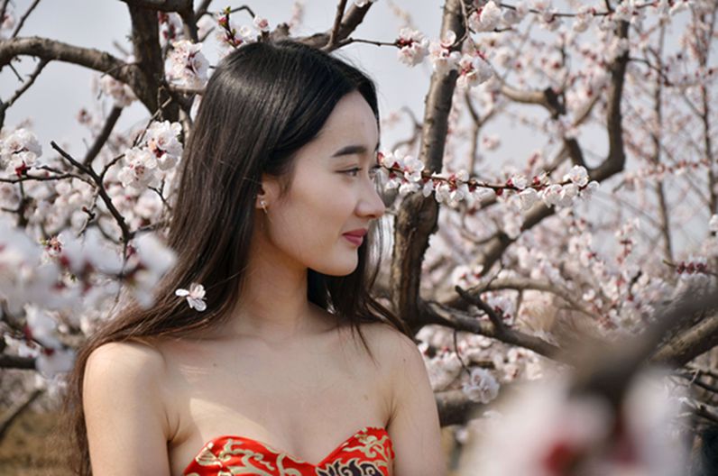 人面杏花两相映，.jpg
