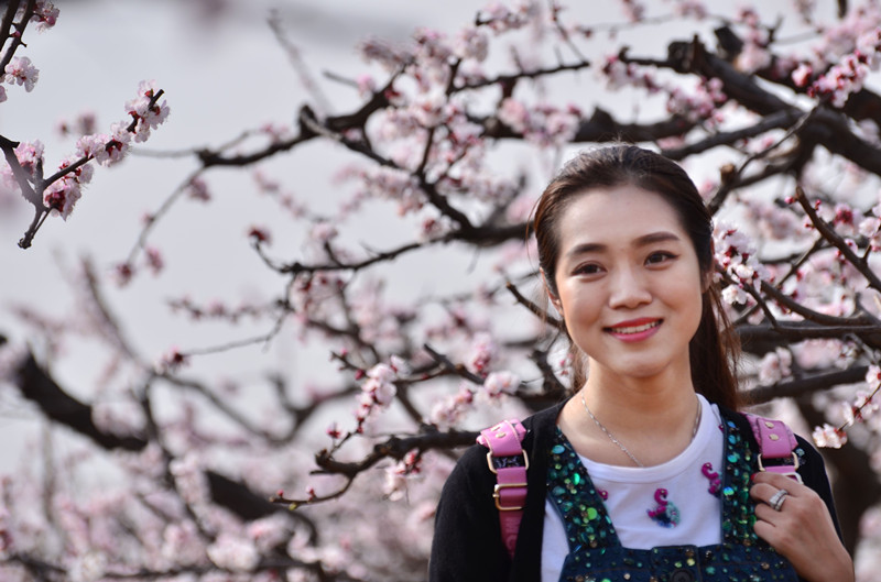 杏花人面相映红.jpg