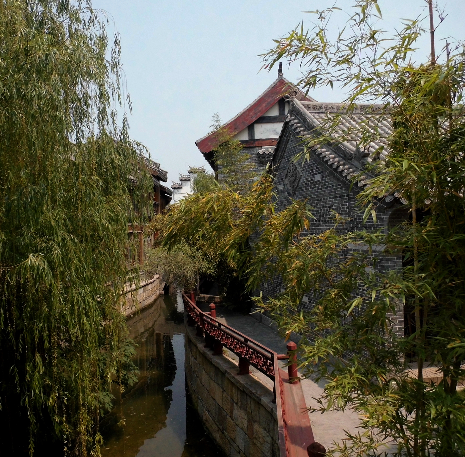 DSCI0497.jpg