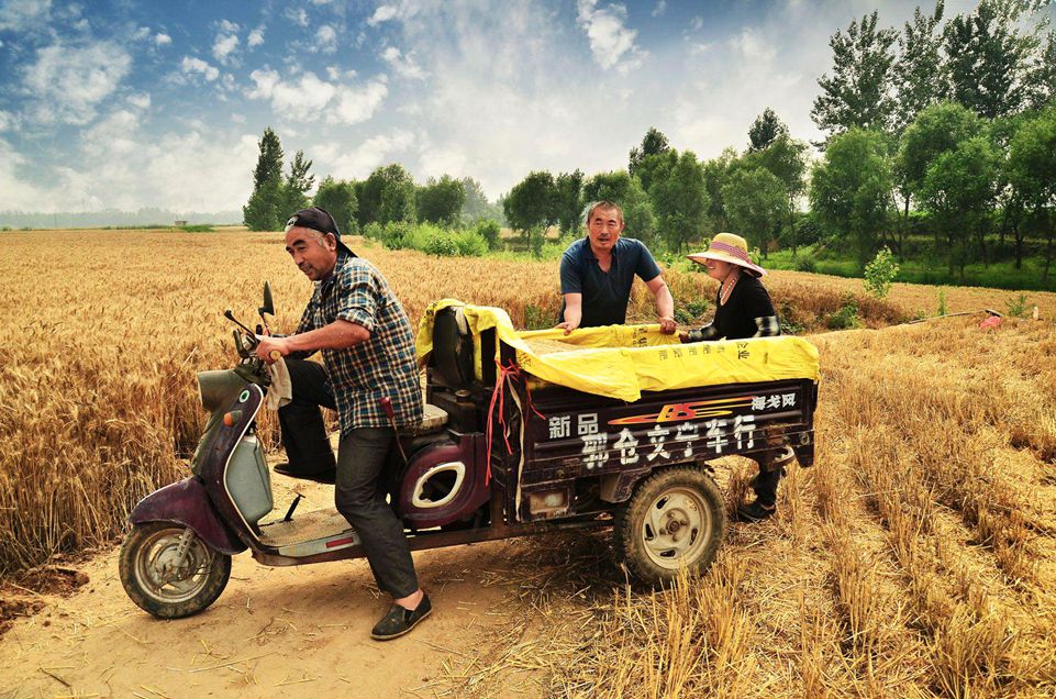 组图6.jpg