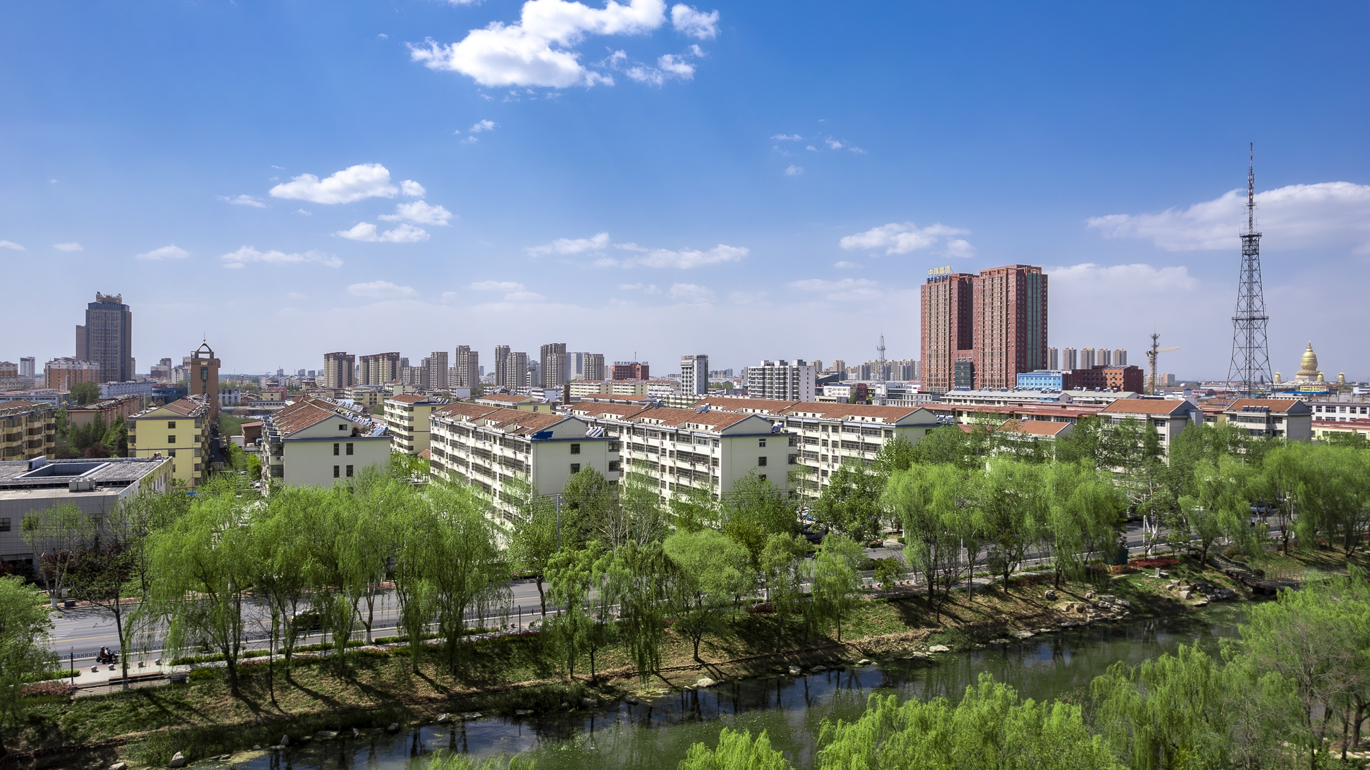 2025汶上新绿