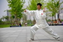 中华武术瑰宝-汶上文圣拳