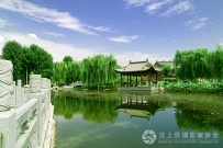 汶上风光之礼佛大道景区南端
