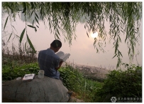 晨读（手机拍）