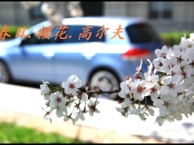 春日.樱花.高尔夫