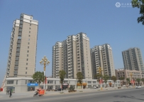 每天都有新变化