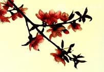 一组花儿夜照