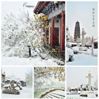 瑞雪兆丰年——佛都雪景采撷