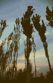 文苑夕照